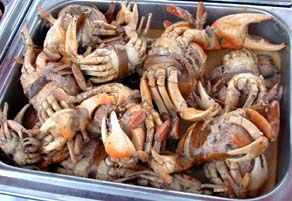 Land Crabs