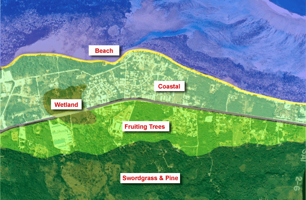 Areas map