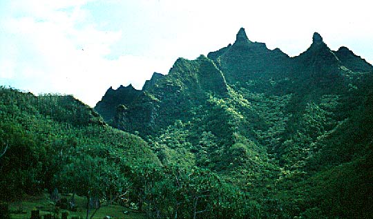 Limahuli Cliffs vegetation