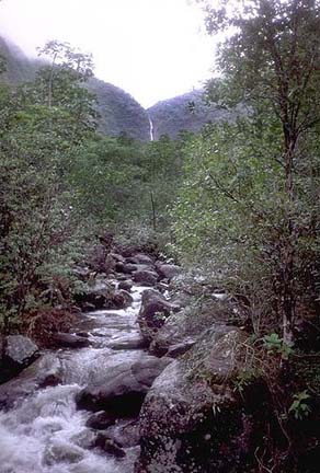 Limahuli Falls