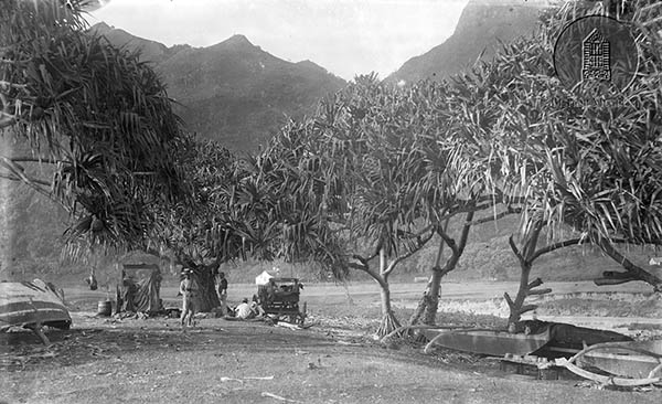 Hala Grove and Canoes