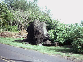 Pohaku Loa