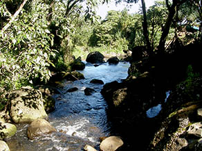 Limahuli Stream