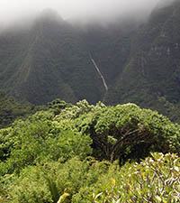 Manoa Waterfall