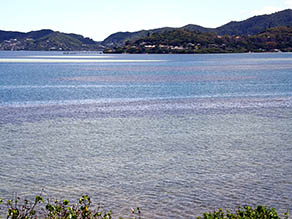 View of the many-colored bay