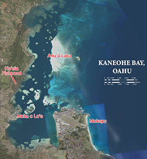 Satellite image of bay