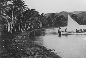 Coconut Island 1914
