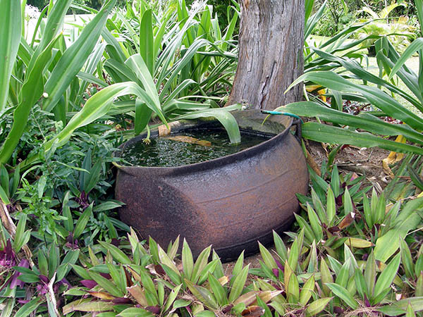 Iron Pot