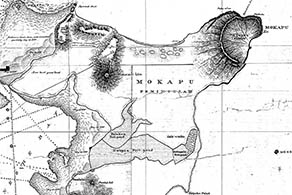 Jackson 1882 map