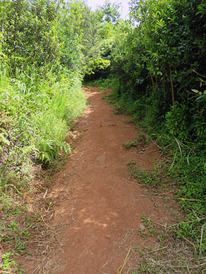 Mā‘eli‘eli Trail