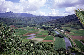 Hanalei Valley