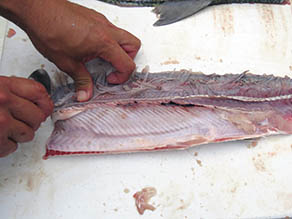 Fish on cutting board