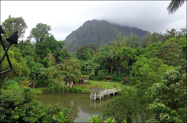 Pond at Haleiwa Joes