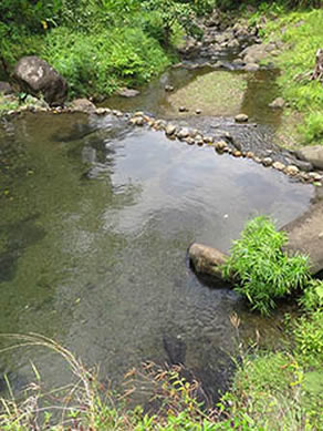 Ha‘akōlea pond