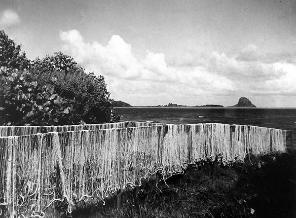 Nets at Kualoa