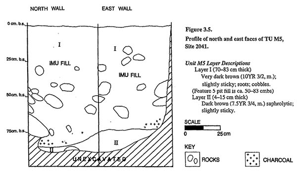 Archaeological drawing of imu excavation