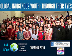 Book Cover: >Globa Indigenous Youth