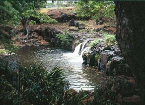 Waikahalulu Falls