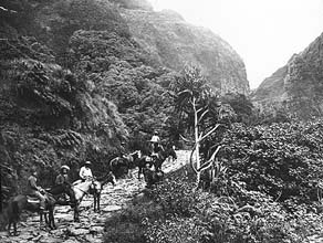 Windward Pali 1890