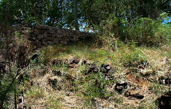 Kawananakoa Heiau