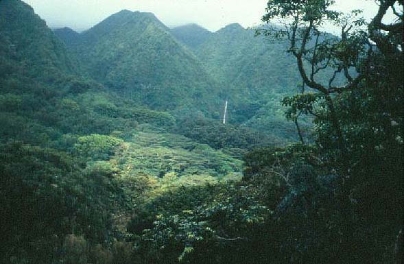 Manoa Valley