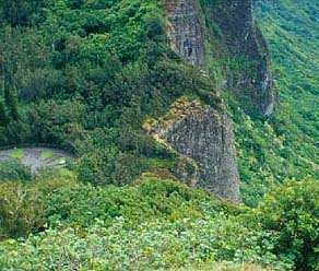 Pali from Above