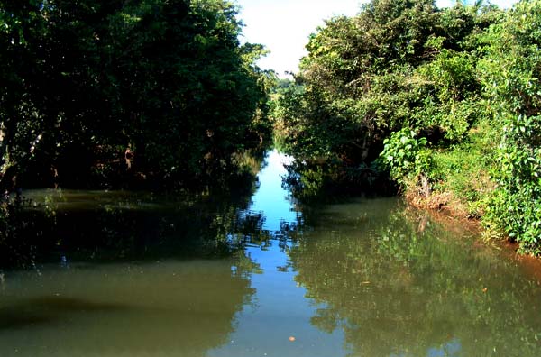 Ngrikill river