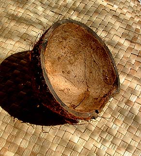 empty coconut